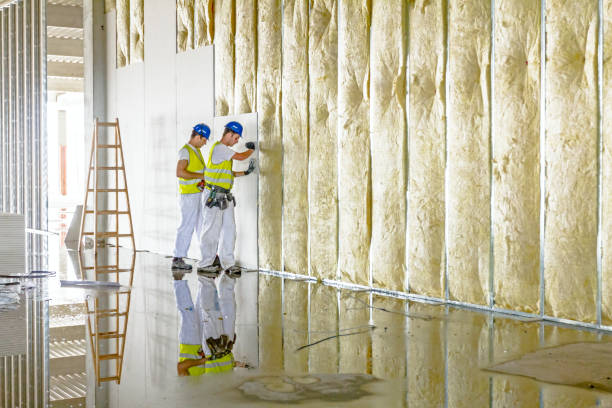Types of Insulation We Offer in Eagle Lake, MN